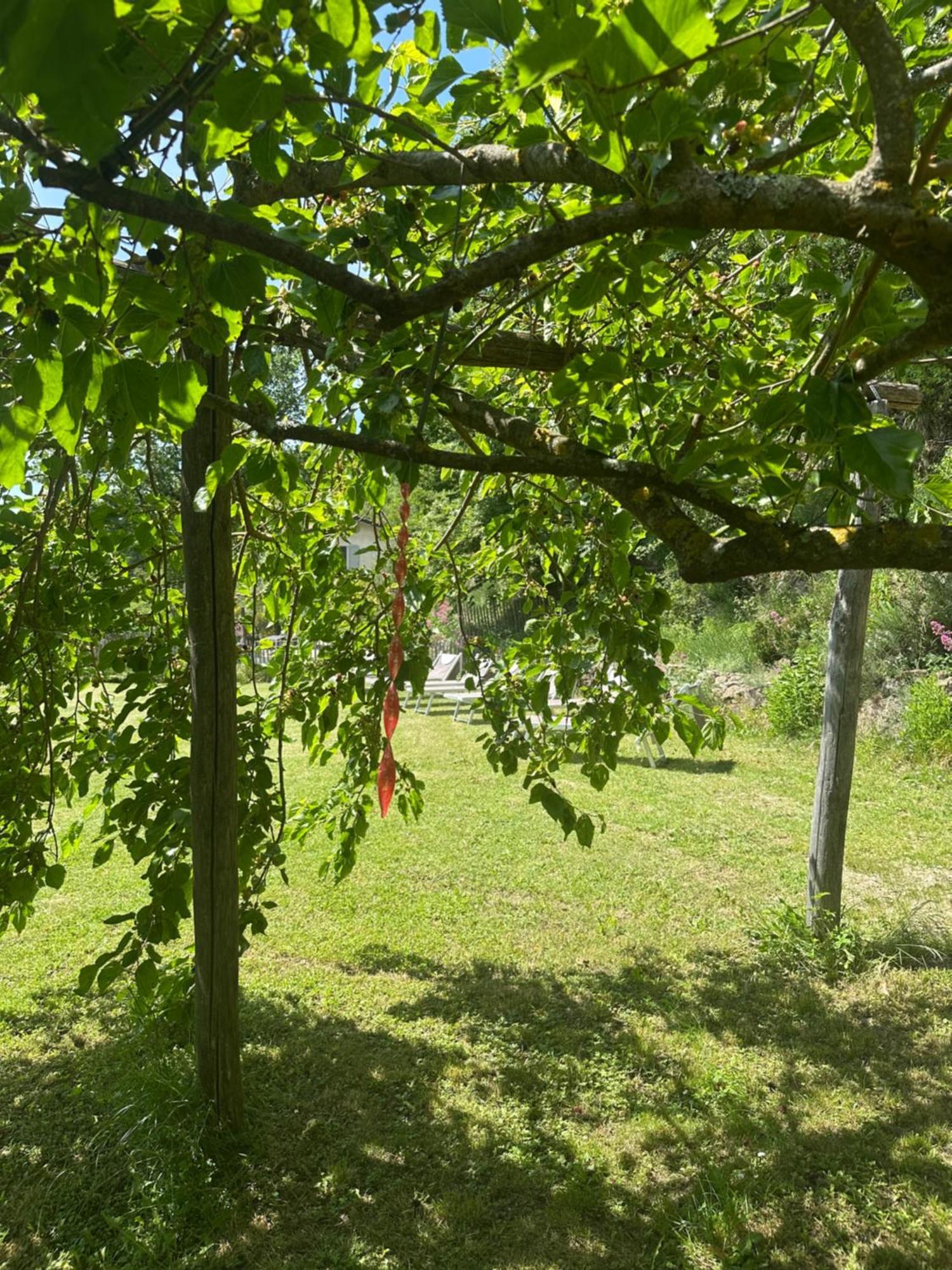 Villa Collina Di Sopra à Tresana Extérieur photo