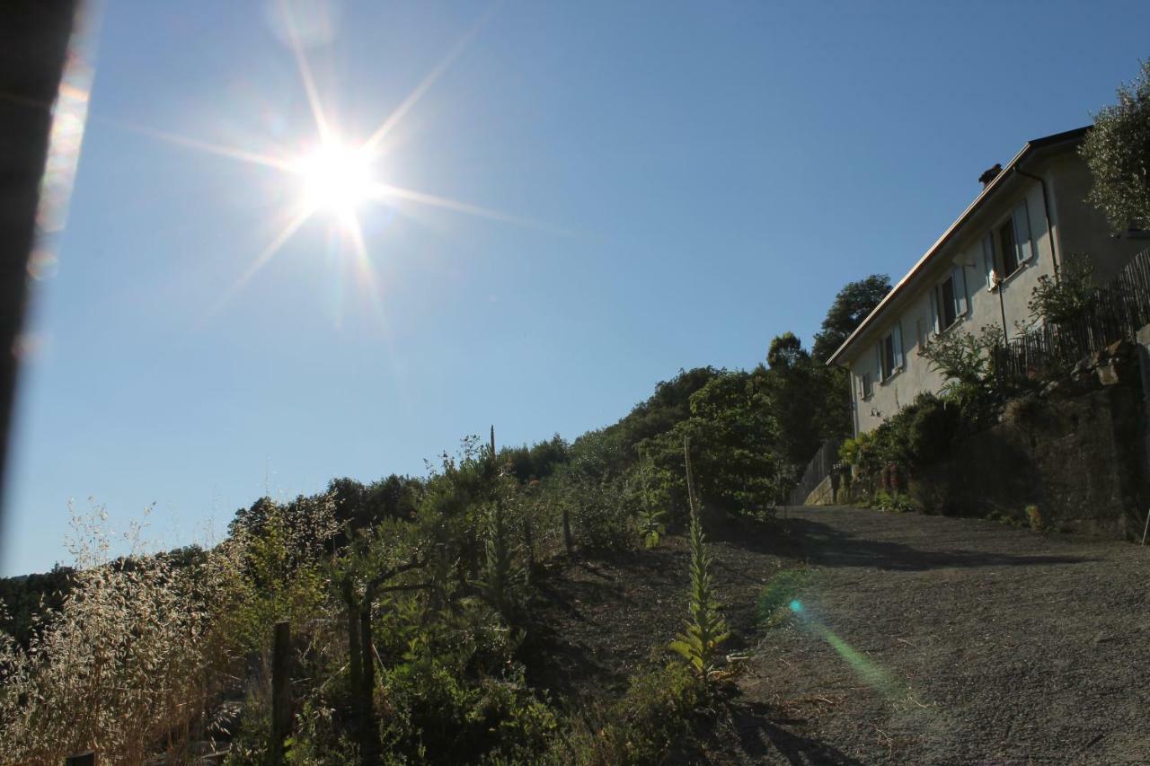 Villa Collina Di Sopra à Tresana Extérieur photo